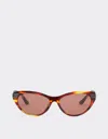 Ferrari Brown Striped Acetate Sunglasses With Brown Lenses In Brown