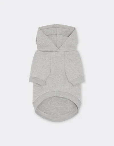 Ferrari X Charles Leclerc Pet Jumper