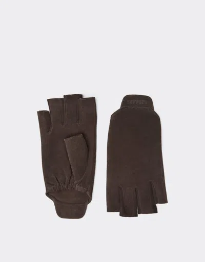 Ferrari Fingerless Suede Gloves In Brown