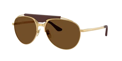 Ferrari Man Sunglass Fh1020q In Brown Polar