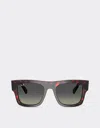 Ferrari Ray-ban For Scuderia  Rb2217m In Havana Red Acetate With Gradient Grey Lenses In Racing Red