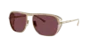 Ferrari Unisex Sunglass Fh1014t In Bordeaux
