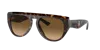 Ferrari Unisex Sunglass Fh2005u In Polarized Brown Gradient