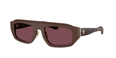 Ferrari Unisex Sunglass Fh2010q In Bordeaux