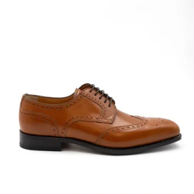 Ferrini French Calf Wing-tip Lace Up In Brown