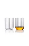 Fferrone Set-of-two Dearborn Tumblers In Clear