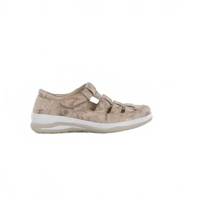 Fidelio Women's Hallux Tilda Shoes In Taupe In Multi