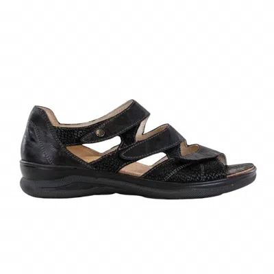 Fidelio Women's Hilani Sandal In Black