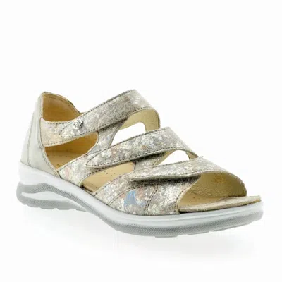 Fidelio Women's Hilani Sandal In Oat In Gray