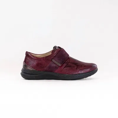 Fidelio Women's Masha Shoes In Wine In Pink