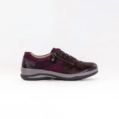 Fidelio Women's Multistretch Mitzy Shoes In Vino In Burgundy