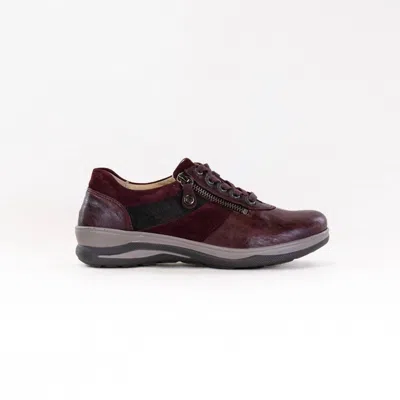 Fidelio Women's Multistretch Mitzy Shoes In Vino In Red