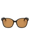 Fifth & Ninth Cara 56mm Polarized Round Sunglasses In Black/brown
