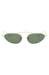 Fifth & Ninth Daphne 60mm Polarized Cat Eye Sunglasses In Gold/green