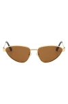 Fifth & Ninth Jasmine 58mm Polarized Cat Eye Sunglasses In Brown