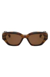 Fifth & Ninth Kell 52mm Polarized Geometric Sunglasses In Brown
