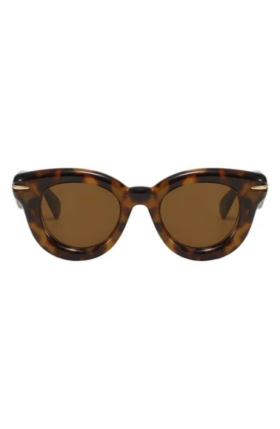 Fifth & Ninth Marlow 46mm Polarized Round Sunglasses In Brown