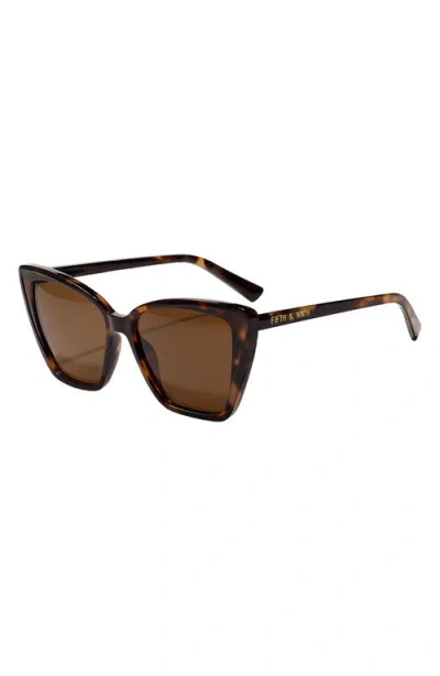 Fifth & Ninth Moscow 53mm Cat Eye Sunglasses In Brown/brown