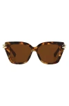 Fifth & Ninth Paige 48mm Polarized Small Geometric Sunglasses In Brown