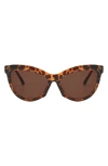 Fifth & Ninth Pippa 73mm Oversize Polarized Cat Eye Sunglasses In Torte
