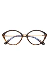 Fifth & Ninth Posie 52mm Cat Eye Blue Light Blocking Glasses In Brown