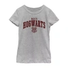 Fifth Sun Little & Big Kid Girls Crew Neck Short Sleeve Regular Fit Harry Potter Graphic T-shirt In Gray