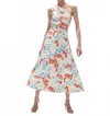 Figue Isla Skirt In Wispy Floral Cream