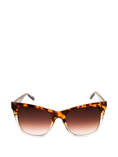 Fila Cat-eye Sunglasses In Brown
