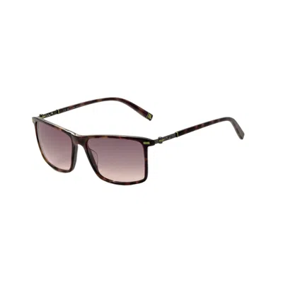 Fila Men's 57 Mm Brown Sunglasses
