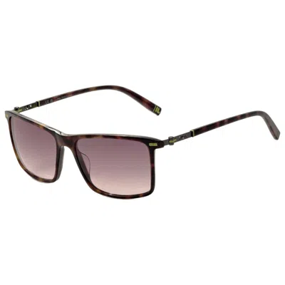 Fila Men's Sunglasses