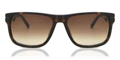 Fila Sfi208 0722 Men's Sunglasses Tortoiseshell Size 56