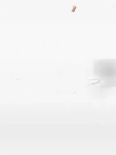 Fila Valdez Graphic T-shirt In White