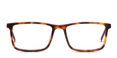 Fila Vf9242 Tortoise