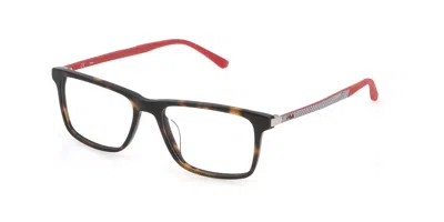 Fila Vfi205 Men's Glasses, Tortoiseshell, Size 52