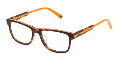 Fila Vfi304 Men's Glasses, Tortoiseshell, Size 51