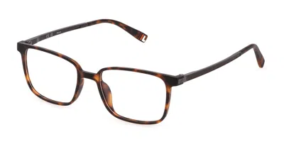 Fila Vfi489l Women's Glasses, Tortoiseshell, Size 49