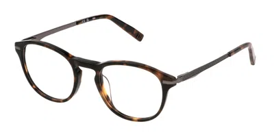 Fila Vfi531 Men's Glasses, Tortoiseshell, Size 50 In Brown