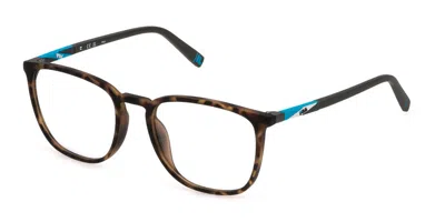 Fila Vfi541 Men's Glasses, Tortoiseshell, Size 53