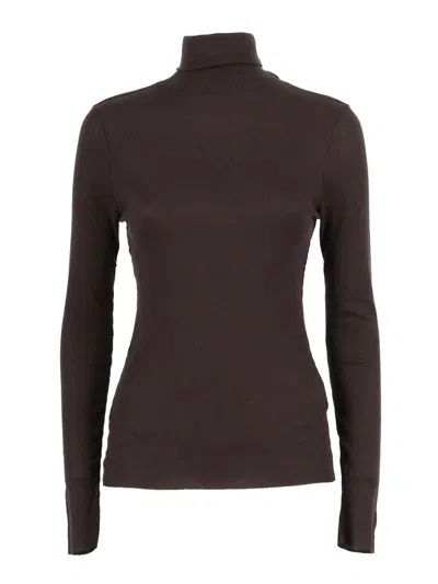 Filatures Du Lion Col Roul Manches Longues In Brown