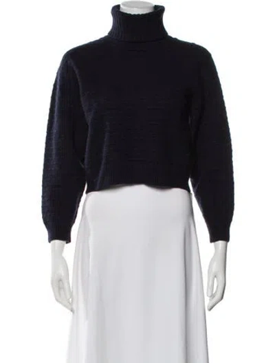 Pre-owned Filippa K Wool Turtleneck Sweater In Blue