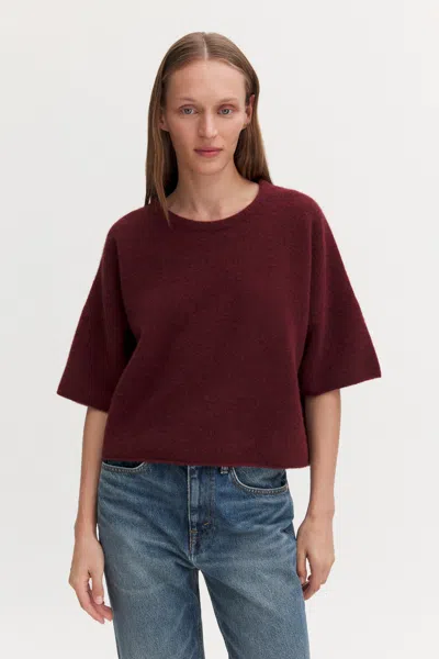 Filippa K Wool Yak Tee In Mahogany Red