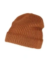 Filippo De Laurentiis Man Hat Brown Size Onesize Merino Wool In Beige