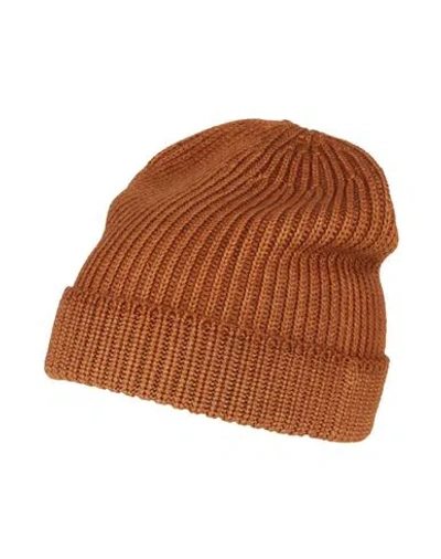 Filippo De Laurentiis Man Hat Brown Size Onesize Merino Wool In Brown