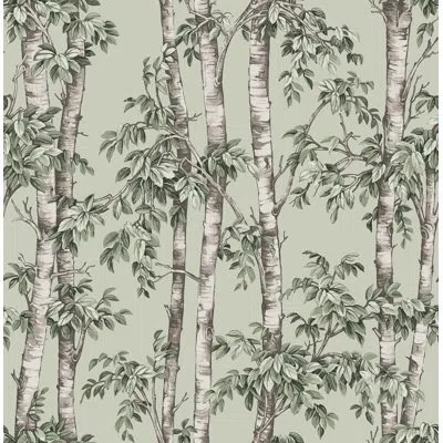Fine Decor Bastian Trees Wallpaper In Green