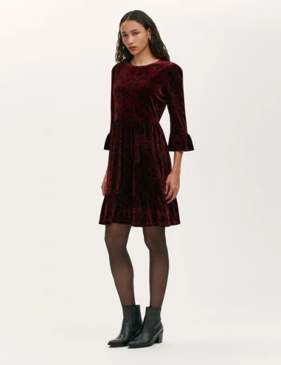 Finery London Cammie Animal Print Velvet Short Dress In Red