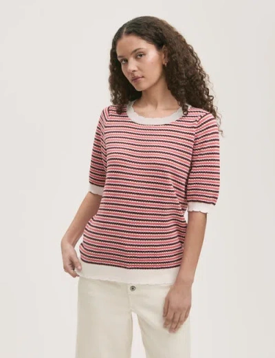 Finery London Rita Knitted Striped Short Sleeve Top In Multi