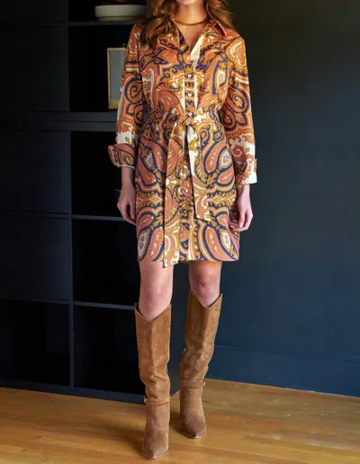 Finley Liam Dress In Brown