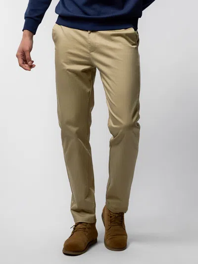 Fioboc Cotton Sateen Chino Pants Stretch Work Travel In Brown