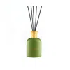 Fiolas Green Smooth Jazz Diffuser In Green