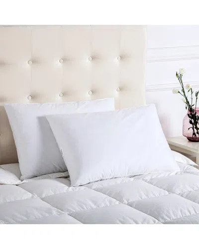 FIREFLY FIREFLY TWIN PACK WHITE FEATHER AND DOWN BLEND PILLOW